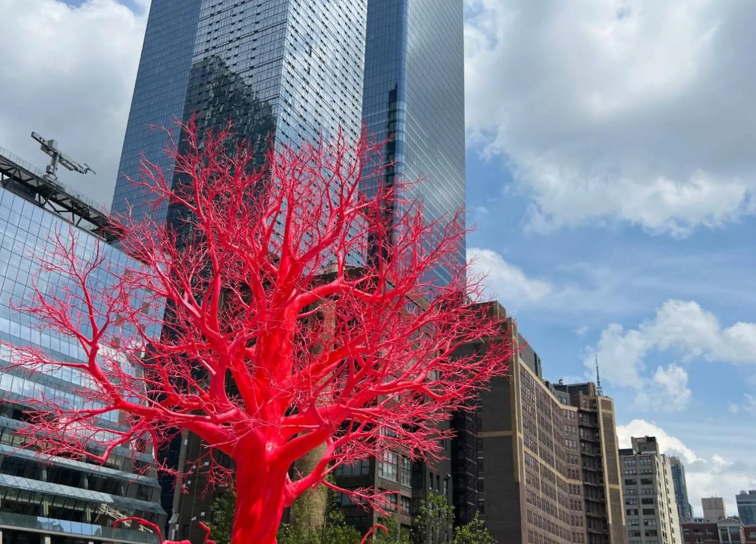 Alloggio in famiglia Appartamento Moon Lotus Abode New York Stati Uniti
