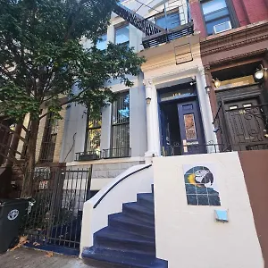 Macaw Nueva York